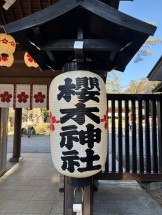 08198282-8709-419A-B9EA-14600036E47E