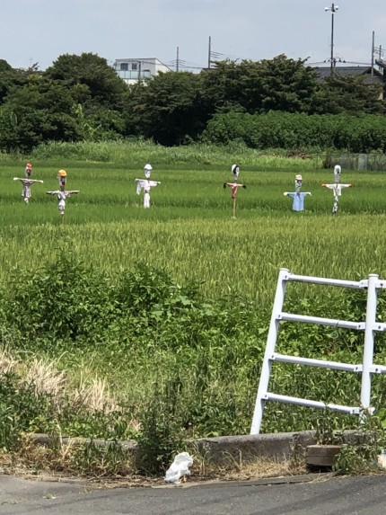 アレ、案山子