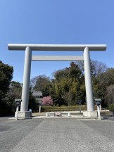 いつもの大鳥居