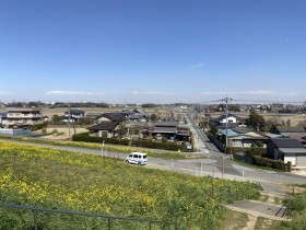 おそうじ号と菜の花