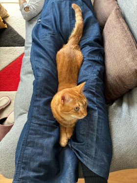 14C77015-20C6-4359-8411-AAAAD3306E9F-e1760078688788