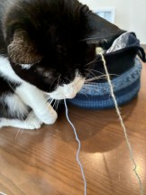 1A07459F-65D8-423F-8F6C-5253FCA58933-e1763530669528