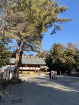 25B6E79F-FC0E-48F3-8A3E-57CBB53EDB84