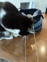 2951C992-BB2B-45B4-87C1-E18192AB1494-e1763530681226