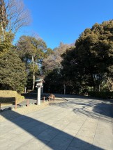 3B31A1EB-5551-41A5-8AC6-F22CCCB1A54E-e1769981544682