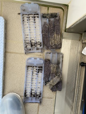 50D06D57-2601-4405-A146-96CB046A8420-e1771811141580