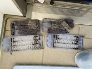 50D06D57-2601-4405-A146-96CB046A8420