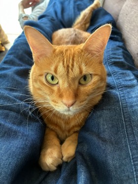 51A751F9-A6D7-443F-9AE0-1BB94AFD6755-e1760078722880