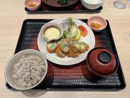 南国かつ定食