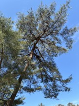 6059B197-A511-47C5-803F-AD588B046F42