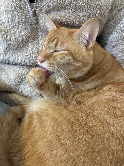 765ED521-B6C7-41B4-9D31-8B2EB5CD0E42-e1770352097411