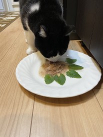 実食。