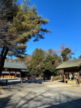 84DEC95B-A578-4262-8F19-6E8AE13D60E9-e1765785625425