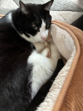 8881FB95-7F07-4034-A6F6-FB4143EA5A53-e1760078756898