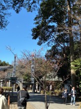 9ED935BD-9BDE-4D90-9E1D-D486BAC843DE-e1773648439126