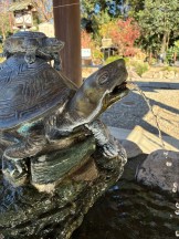 A8223960-DF45-4358-AA77-54CC190BB9F9-e1765785716703