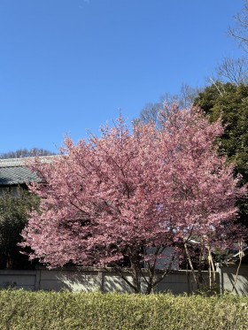 ACFDB5FC-25FA-4276-A2AE-7607F9B02227