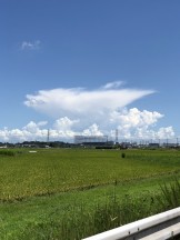 田園と夏空。