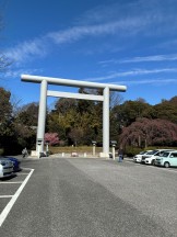 B81E8F7B-6EC8-47CF-8931-BC5F39A67AA3-e1773648411711