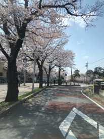 清水公園沿道