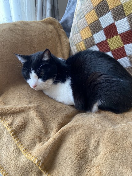 C8BAE0CF-12E4-4532-85ED-1D929B0FDADE-e1770352087422