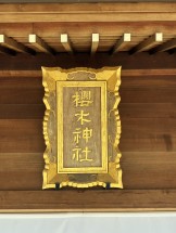 CDA9C3FC-5C3D-42B7-BE90-6D96577F1EDB