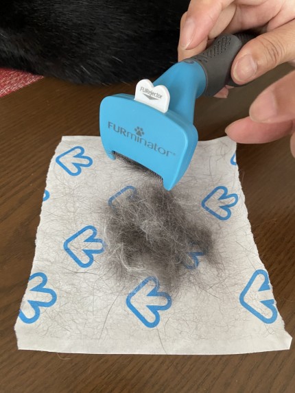 FURminator