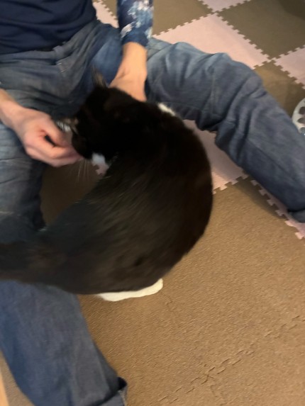 お出掛け前にすり寄る黒ちゃん