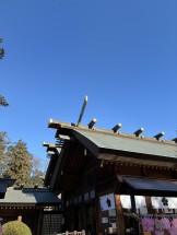 E28D0252-F589-483C-B45F-AE3137F84E6B