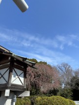 F1849B8A-37F3-4312-B86A-8A75885D7F29