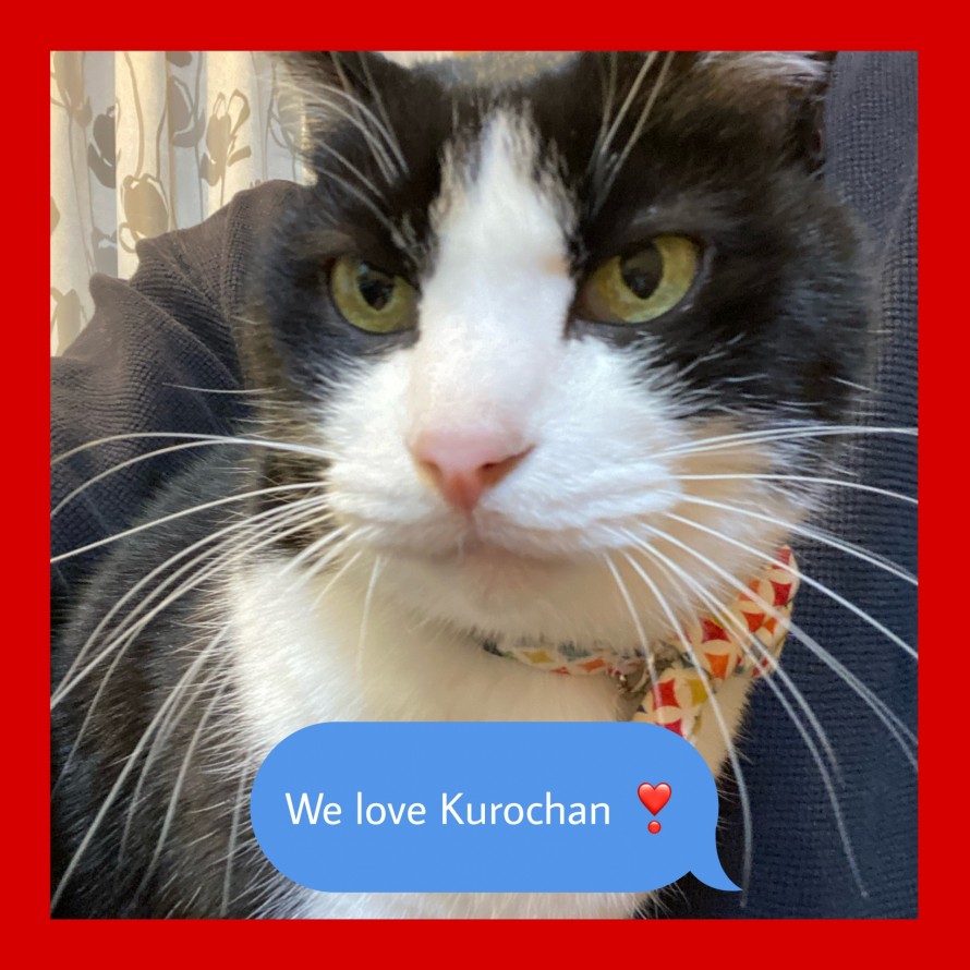 We love Kurochan.