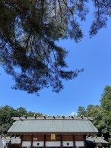 櫻木神社の空