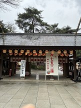 IMG_9487-e1759394125322